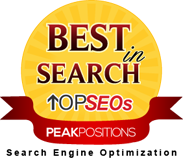 Google SEO Consulting. Google Organic SEO Consulting. Google Natural SEO Consulting.