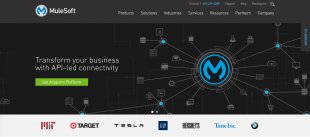 MuleSoft Homepage