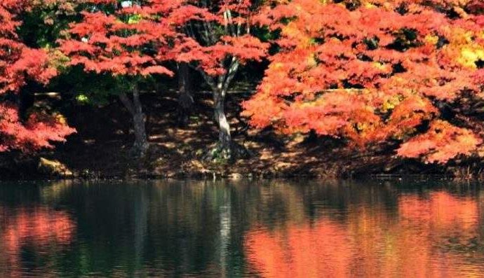 Search Engine Optimization Specialist Job Description