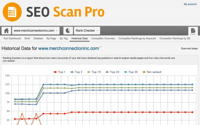 SEO Rank Checking Tools